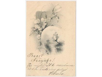 Novoroční přání, koláž, prošlá poštou 1900