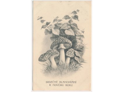 Srdečné blahopřání k Novému roku, "Hříbková koláž", cca 1909