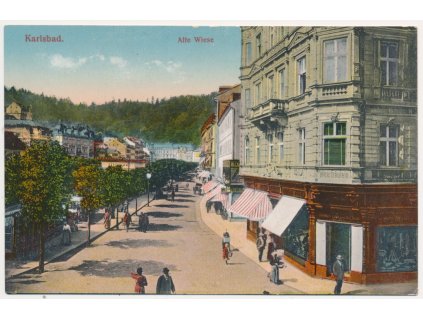 25 - Karlovy Vary (Karlsbad), Alte Wiese, cca 1913