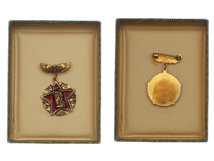 ČSSR, AE dekorace aktivní činnost, zavírací jehla, stav 0/0/1