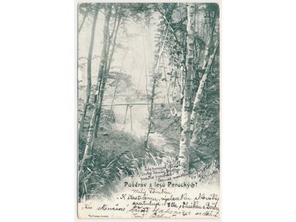 34 - Lounsko, Peruc, partie z lesa, břízy, potůček..., cca 1902