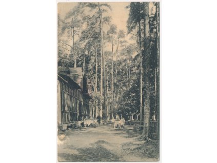 34 - Lounsko, Sádek (Satkau), oživená partie u výletní restaurace, cca 1920
