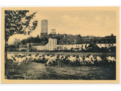 02 - Berounsko, hrad Žebrák a okolí, oživená partie s ovcemi, cca 1930