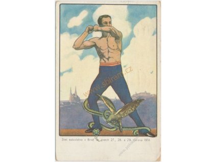 Slet sokolstva v Brně, červen 1914