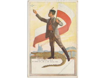 Slet sokolstva v Brně, červen 1914