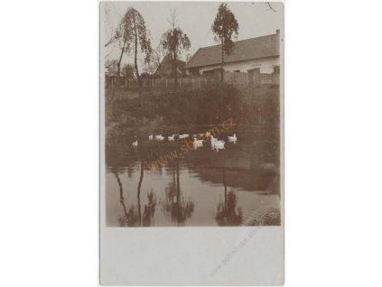 57 - Rychnovsko, Čánka, část obce s rybníkem, cca 1915