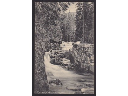66 - Trutnovsko, Krkonoše, Bílé Labe (Weisswassergrund), nakl. Pietschmann, cca 1912