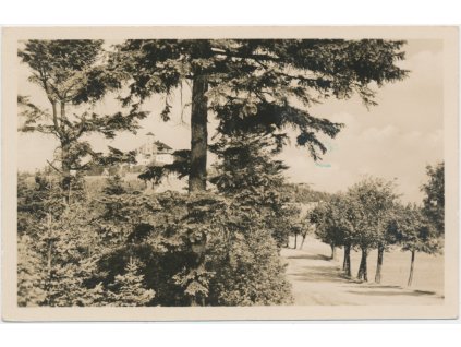 65 - Teplicko, Komáří Vížka, pohled na horu (807,4 m), cca 1950