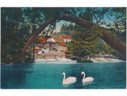 70 - Olickoústecko, Choceň, partie u jezírka s labutěma, cca 1918