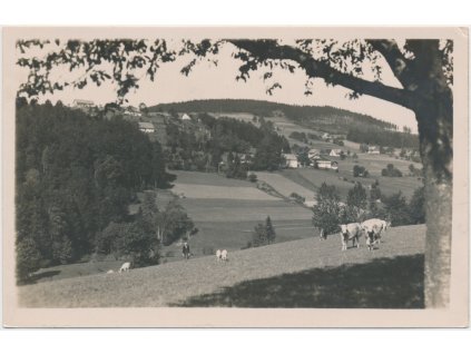 57 - Rychnovsko, Jedlová, oživená partie z pastvin, foto V. Krystlík..