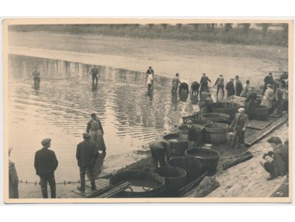 Pracující lidé při výlovu rybníka, foto B. Heger a spol.