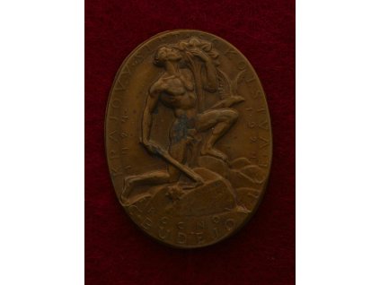 České Budějovice, AE odznak Krajový slet sokolstva - 1. ročník 1924 !