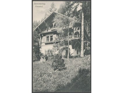 Austria, Lower Austria, Styria,Northern Limestone Alps,Semmering Pass, publ. Frank, cca 1910