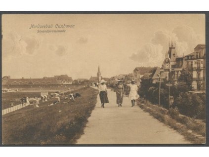 Germany, road between Nordseebad and Cuxhaven, publ. Simonsen, cca 1920
