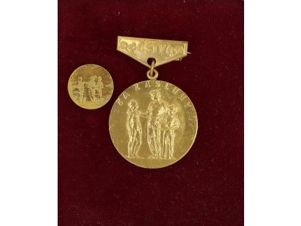 ČSSR, AE medaile Za zásluhy o ČSTV, 1975, zlatý stupeň, krabička, stav 1/1