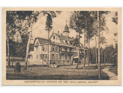 11 - Českolipsko, Hamr na Jezeře, Neues Kurhaus "Waldhof", cca 1921