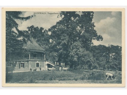 65 - Teplicko, Mstišov, oživená partie u loveckého zámečku, cca 1926