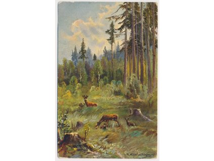 Lesní partie, Jelen a srnka s koloušky na pastvě, cca 1917