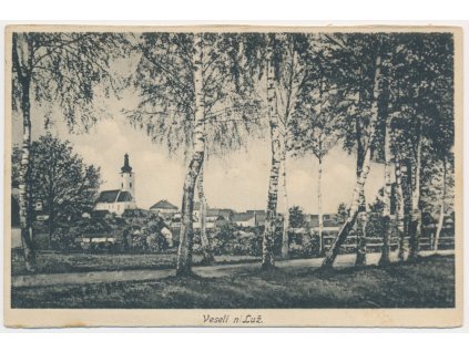 64 - Táborsko, Veselí nad Lužnicí, partie z parku s pohledem na město, cca 1930