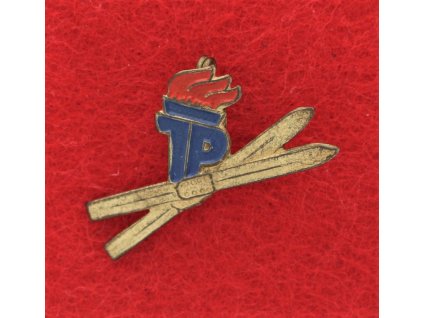 DDR, sportovní odznak Zimní hry 1955, plech, zavírací jehla, stav 1/1
