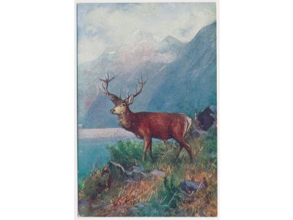 Námětová pohlednice, "partie s jelenem", cca 1920