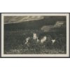 64 - Táborsko, zříceniny hradu Choustník, ca 1932