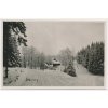 57 - Rychnovsko, Šediviny, pohled na zasněženou obec, cca 1933