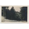 70 – Orlickoústecko, Česká Třebová, "Hory", Foto Fon, cca 1931