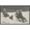 Rodinka na sáňkách, ca 1917