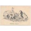 Velikonoční přání, Fröhliche Ostern! zajíčci a kuřátka, cca 1909
