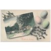 Velikonoční přání, Fröhliche Ostern!, cca 1909