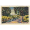 USA, California, flowwer bordered walk, ca 1925