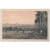 34 - Lounsko, Peruc, oživená lesní partie s pohledem na město, cca 1922