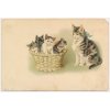 Kočka a čtyři koťátka v košíku, cca 1909