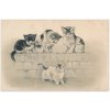 Námětová pohlednice, Čtyři kočky, cca 1906