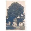 13 - Českokrumlovsko, Zlatá Koruna, oživená lípa na návsi, zajímavé, cca 1907
