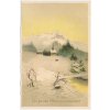 Vánoční přání, Die besten Weihnachtsgrüsse, zasněžená krajina, cca 1924