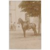 Vojenská, Voják na koni, cca 1911