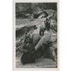 Německo, ZOO Berlín, Bärenfreianlage, medvědi, cca 1930