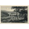 46 - Písek, pohled z lesa "U Honzíčka", cca 1939