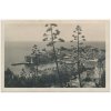 Chorvatsko, Dubrovník, pohled na přístavní město, cca 1930