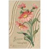 Blahopřejná pohlednice, tlačená květinová koláž, cca 1904