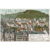 25 - Karlovy Vary (Karlsbad), celkový pohled na město, cca 1904