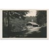 57 - Rychnovsko, Orlické hory, Horská bouda Panoráma, cca 1931