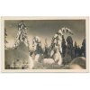 66 - Trutnovsko, Krkonoše, "Zimní pohádka", foto R. Slavík, cca 1929