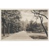 49 - Praha, partie z parku od Wilsonova nádraží, cca 1930
