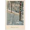 Námětová pohlednice, Radostné Vánoce!, zimní partie, cca 1947