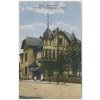 51 - Praha-západ, Černošice, oživená partie před Hotelem Monopol, 1918