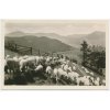 16 - Frýdeckomístecko, Beskydy, Salaš na Lysé hoře, partie s ovečkami, cca 1950