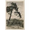 22 - Jičínsko, Prachovské skály, Pechova vyhlídka, cca 1948